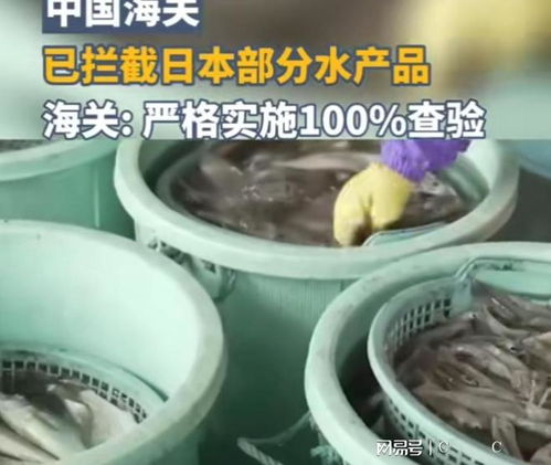 中國海關強化對日本水產品進口監管，日本媒體高度關注農產品安全議題